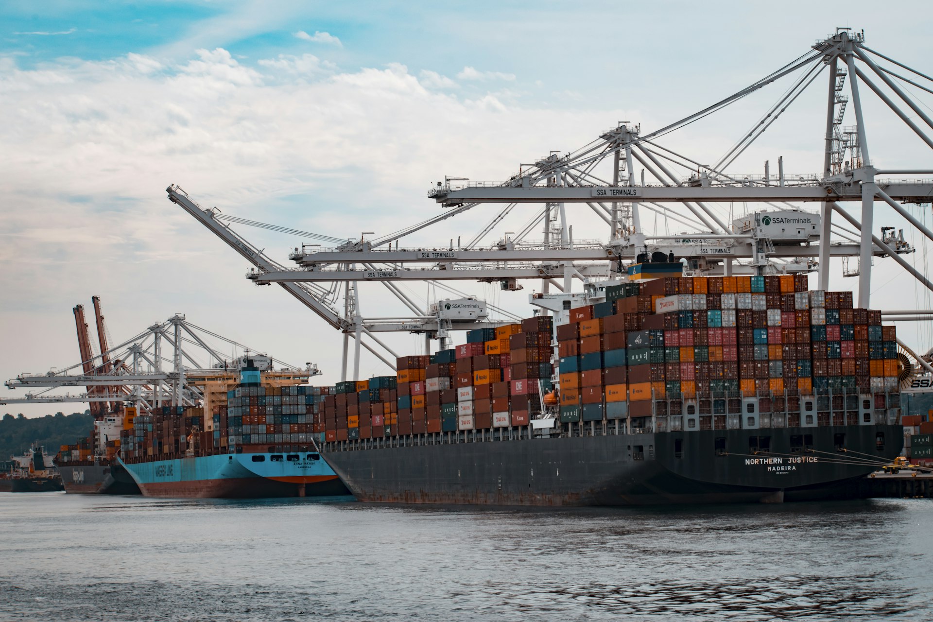 Shipping container terminal and breakbulk cargo handling area at a major commercial port